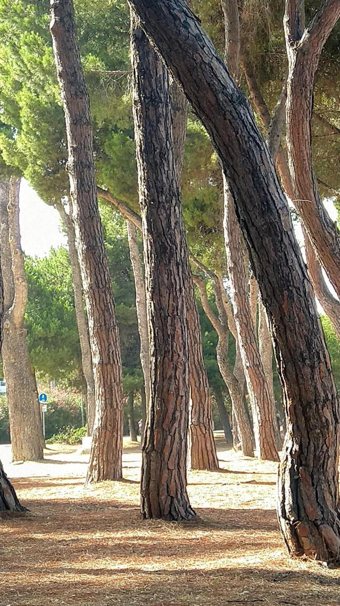 Montefino Villa Ferranti Abruzzo מראה חיצוני תמונה